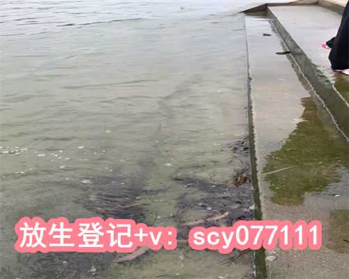 上海哪里有放生池(上海放生群2021年)
