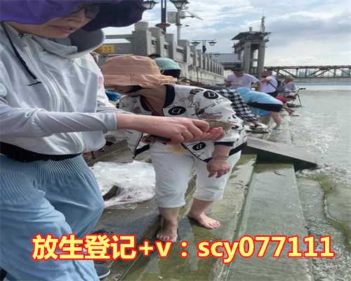 惠州,代放生鱼类的福