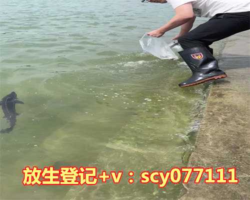 梅州放生泥鳅鱼,梅州