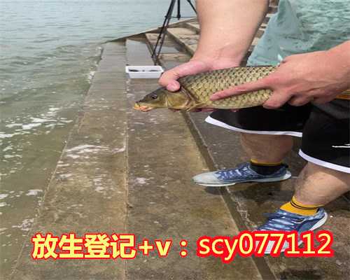 黑龙江怎么买鱼放生，黑龙江哪个公园能放生松鼠啊，黑龙江摄影作品救助鸟类