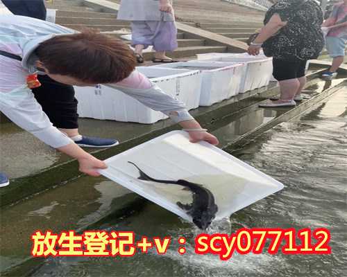 扬州野生甲鱼放生，扬州最佳放生的地方，出喜心寺庙放生鱼和自己去放生鱼一