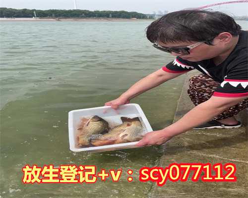 柳州道教放生流程，柳州放生的鱼从哪里买到，慈悲放生总不出现怎么办