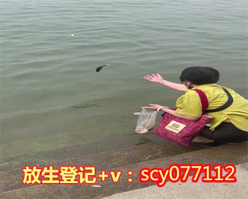 南京经常在什么地方放生鱼，南京市委常委、统战部部长李世贵调研南京天主教