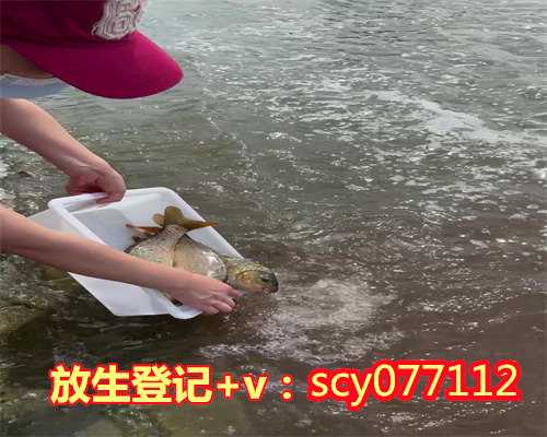 郑州放生园放生小红鱼，郑州龙湖疑有人放生两只鳄鱼