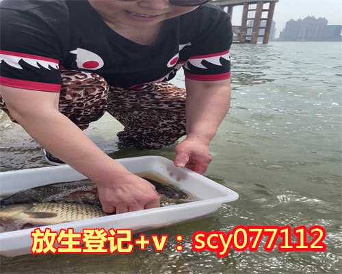 滁州可以放生的鱼，滁州放生鱼，滁州道教放生疏文
