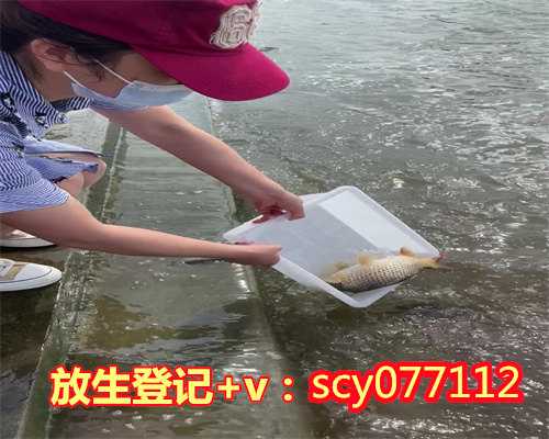 黑鱼能放生吗惠州初一十五放生，黄鳝和乌龟【放生的鱼为什么不走】