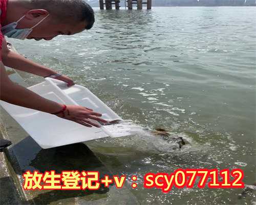 放生鱼能吃吗济南,济南市区哪里可以放生鸽子【放生蛇的功德和作用】