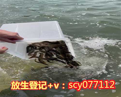 福州哪个湖可以放生黄鳝，这不是在做善事：福州一县道现被放生毒蛇，距小学