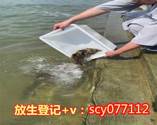 放生法事流程哈尔滨，哈尔滨何地可以放生乌龟【哈尔滨哪里有放生鱼的】