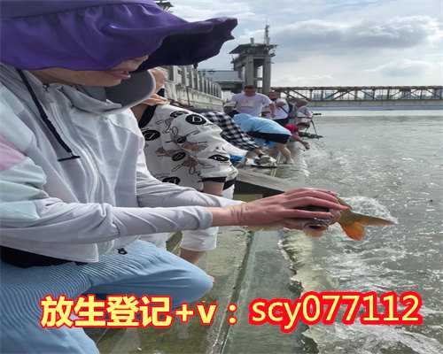 北京适合放生的水域，索达吉堪布在北京放生时的开示