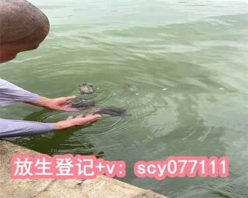 广州代放生乌龟地点，广州现2米长缅甸蟒死尸