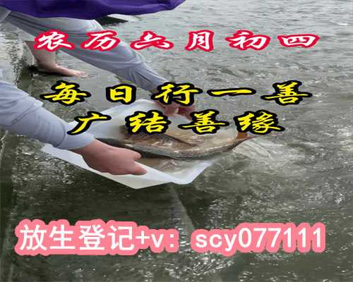 重庆哪里是个放生鸡蛋的地方，重庆市华岩文教基金会放生两万鱼苗回归自然